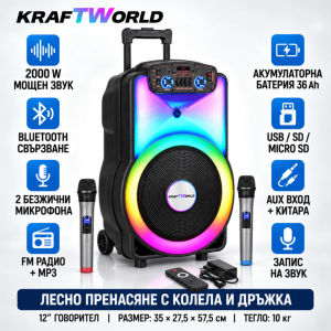 Преносима Караоке Тонколона 12″ 2000 W с LED Осветление и 2 Безжични Микрофона